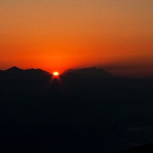 Meet your Posher, Robin